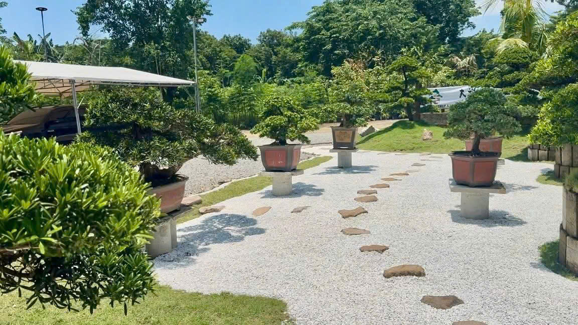 Hình ảnh thiết kế sân vườn Dashu VnJapan